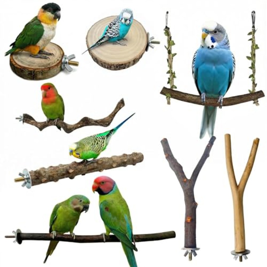 8PCS natural wood bird perches - đánh giá và giá Health & Wellness Affiliate Programs