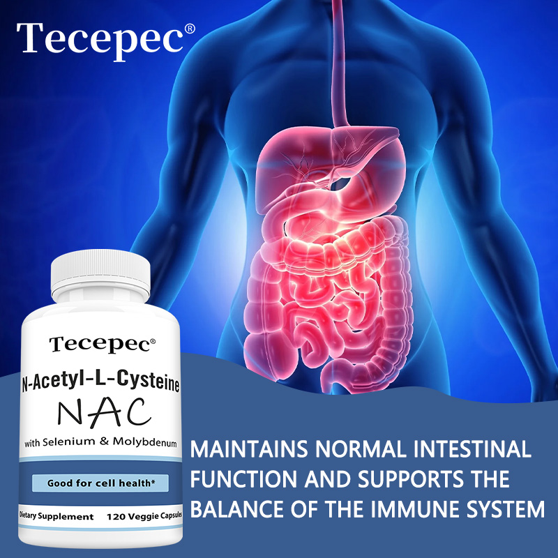 NAC Capsules – Antioxidant, Su - đánh giá và giá Health Wellness Day